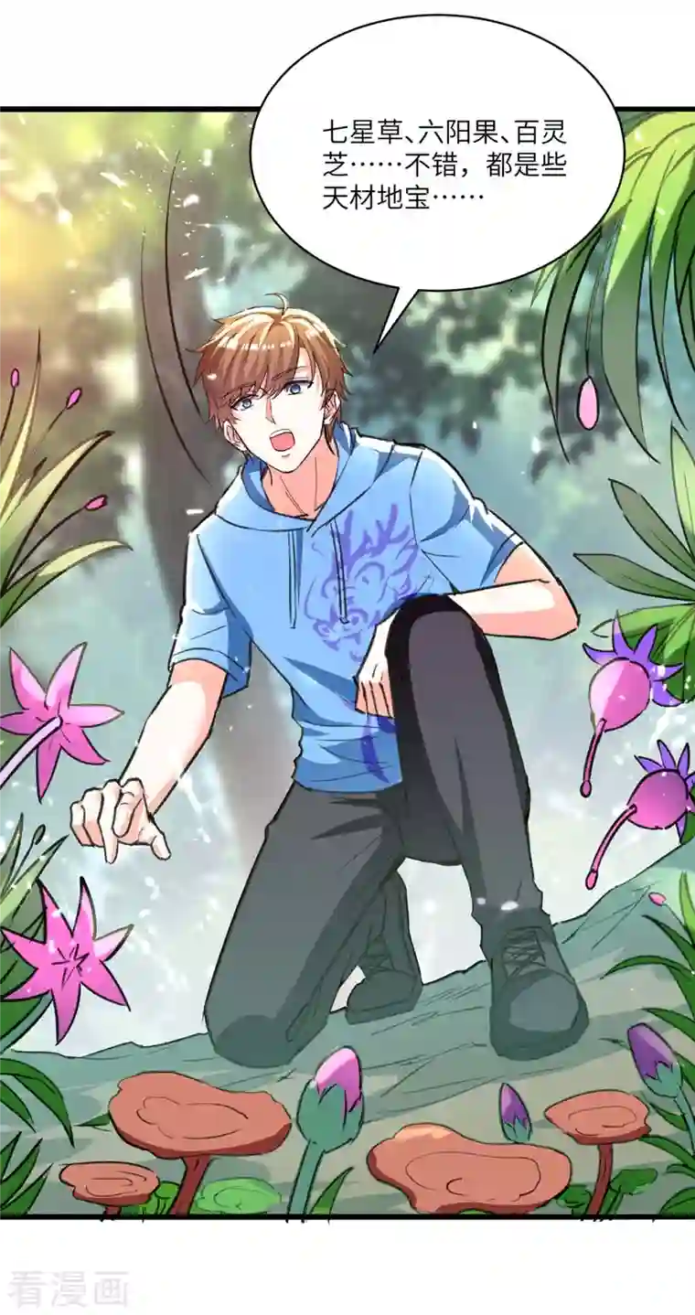 天才狂医第196话 催熟血灵芝
