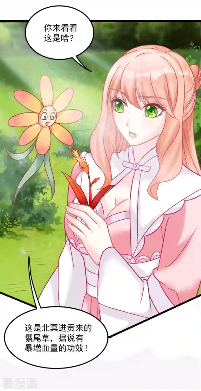 特工狂妃第30话 实力宠粉不用谢我