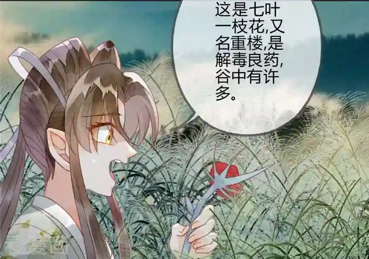 天恸璃泽殇第30话 琉璃泪：上仙再现1