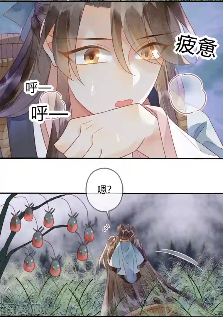 天恸璃泽殇第30话 琉璃泪：上仙再现1