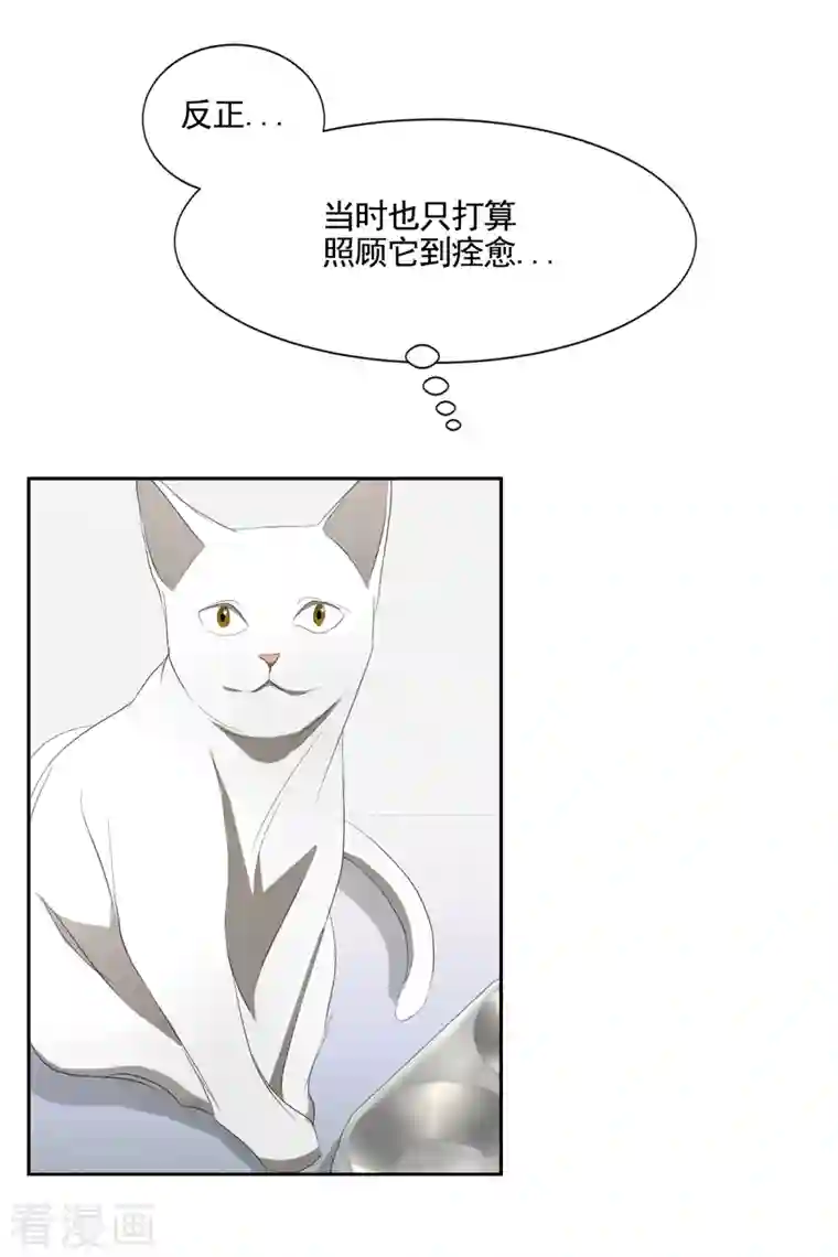 影子侦探第40话 如果我父亲不是杀人犯