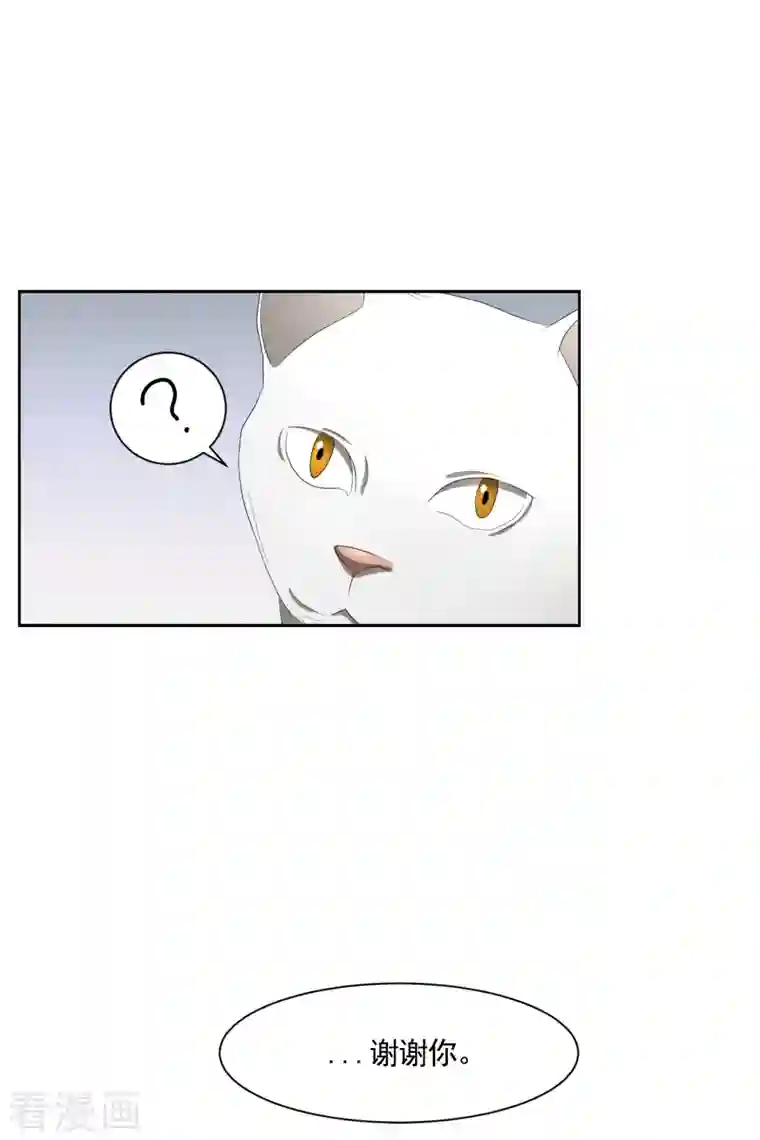 影子侦探第40话 如果我父亲不是杀人犯