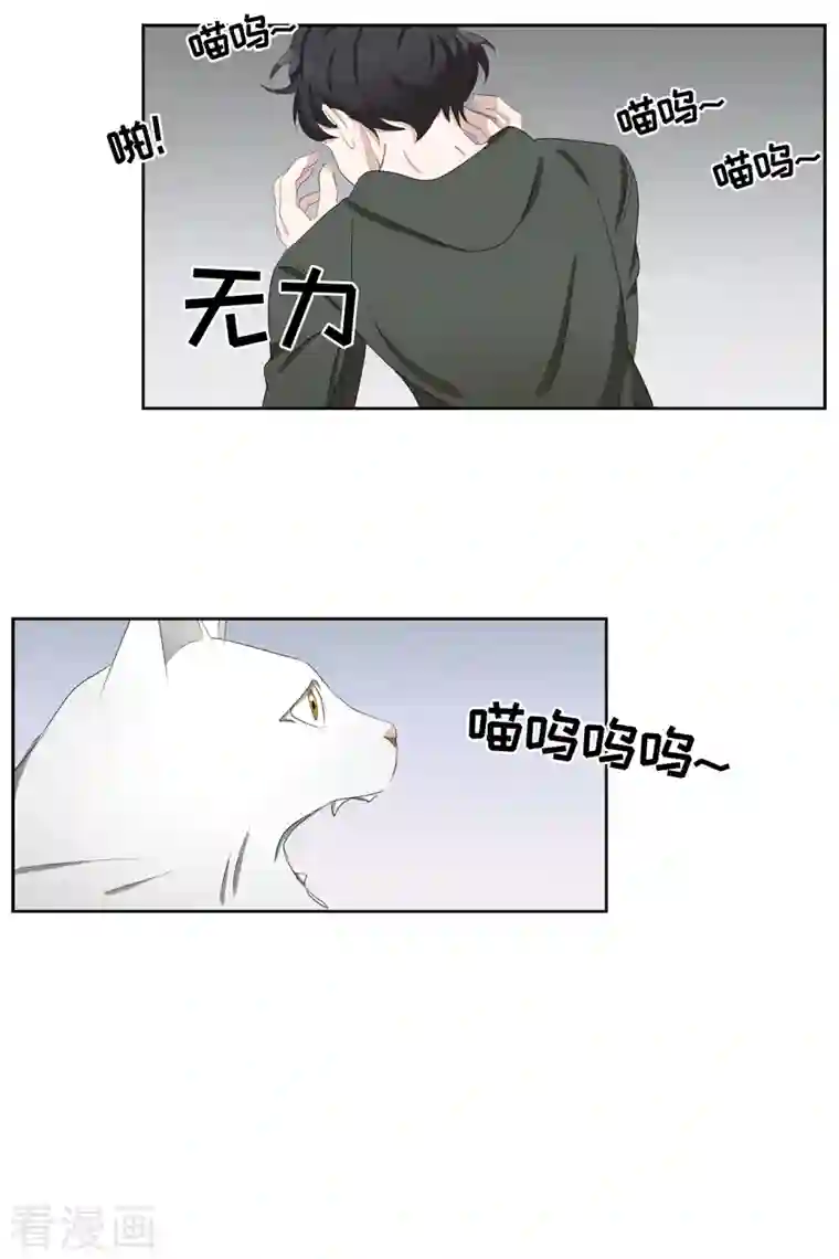 影子侦探第40话 如果我父亲不是杀人犯