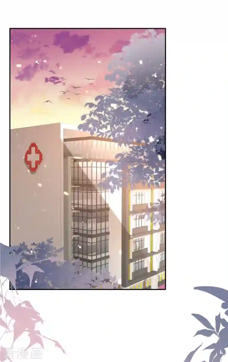 星光璀璨：捡个boss做老公第29话 你们触碰了我的底线！