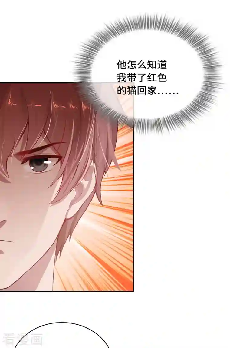 吾本是猫第4话 三界瞳