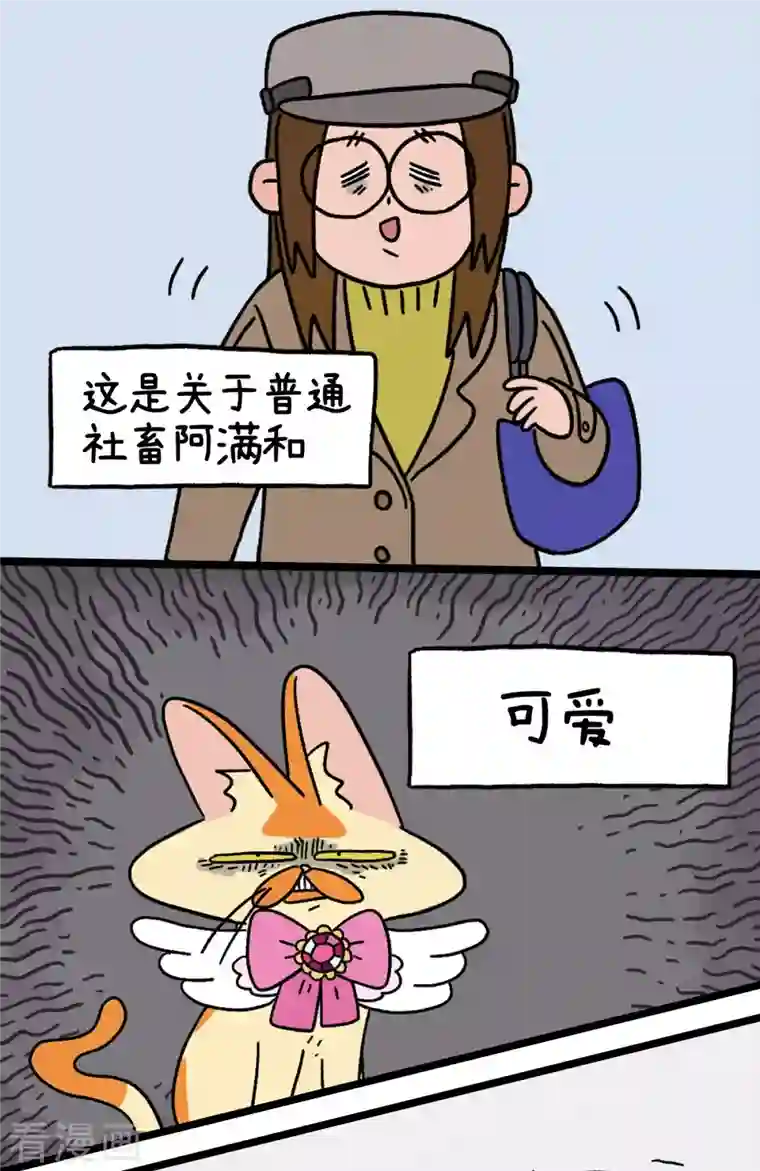 阿满和麦茶预告