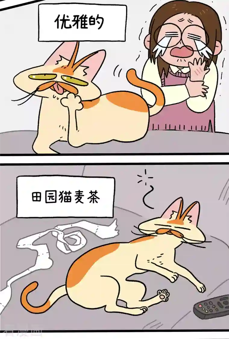 阿满和麦茶预告