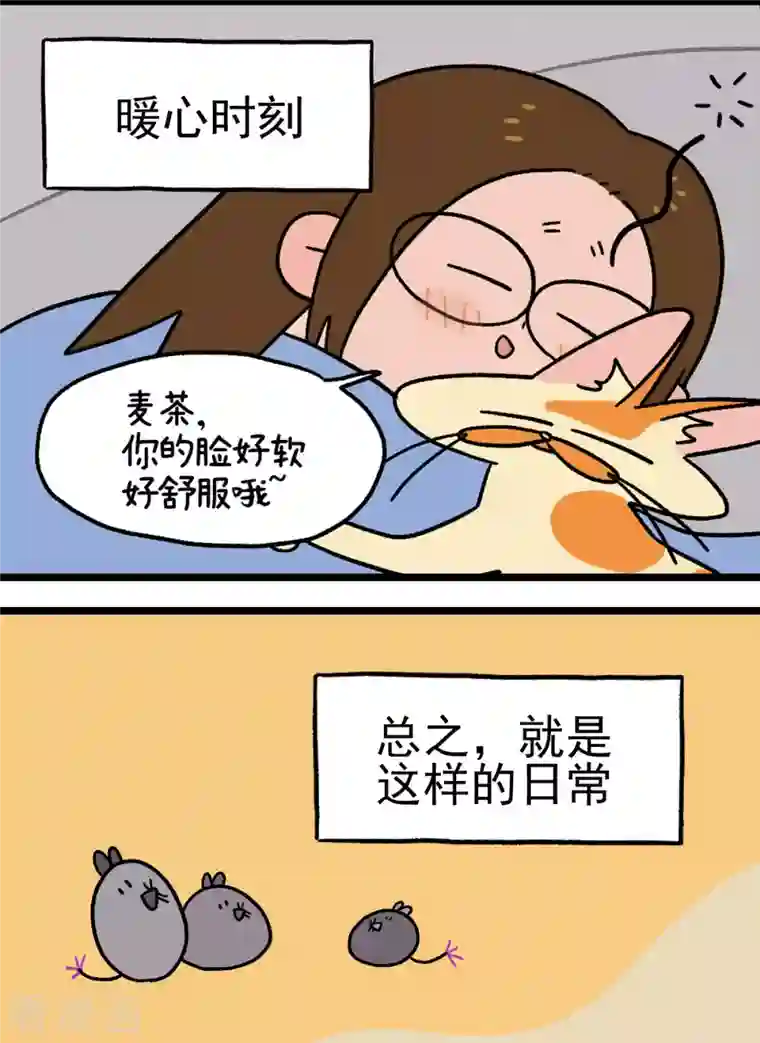 阿满和麦茶预告