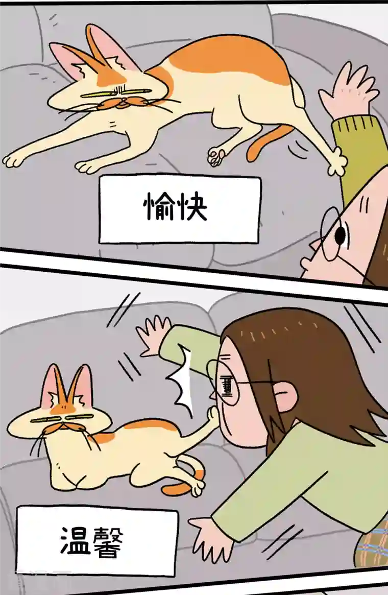 阿满和麦茶预告