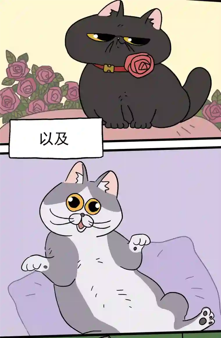 阿满和麦茶预告