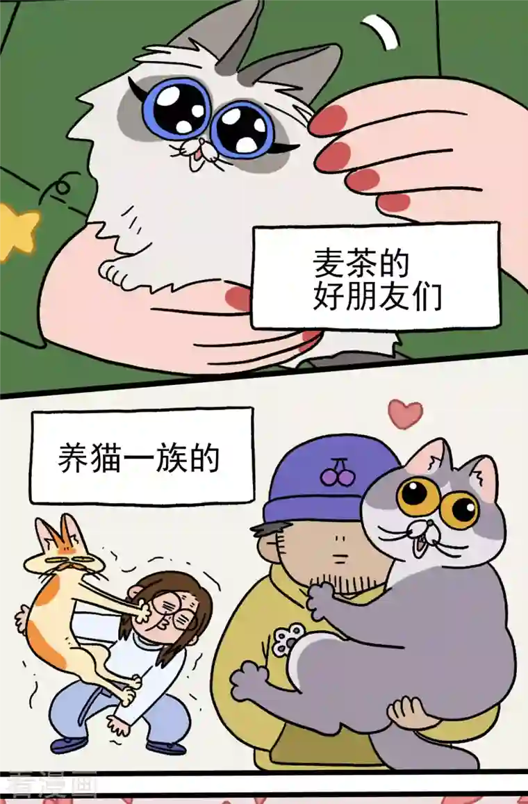 阿满和麦茶预告