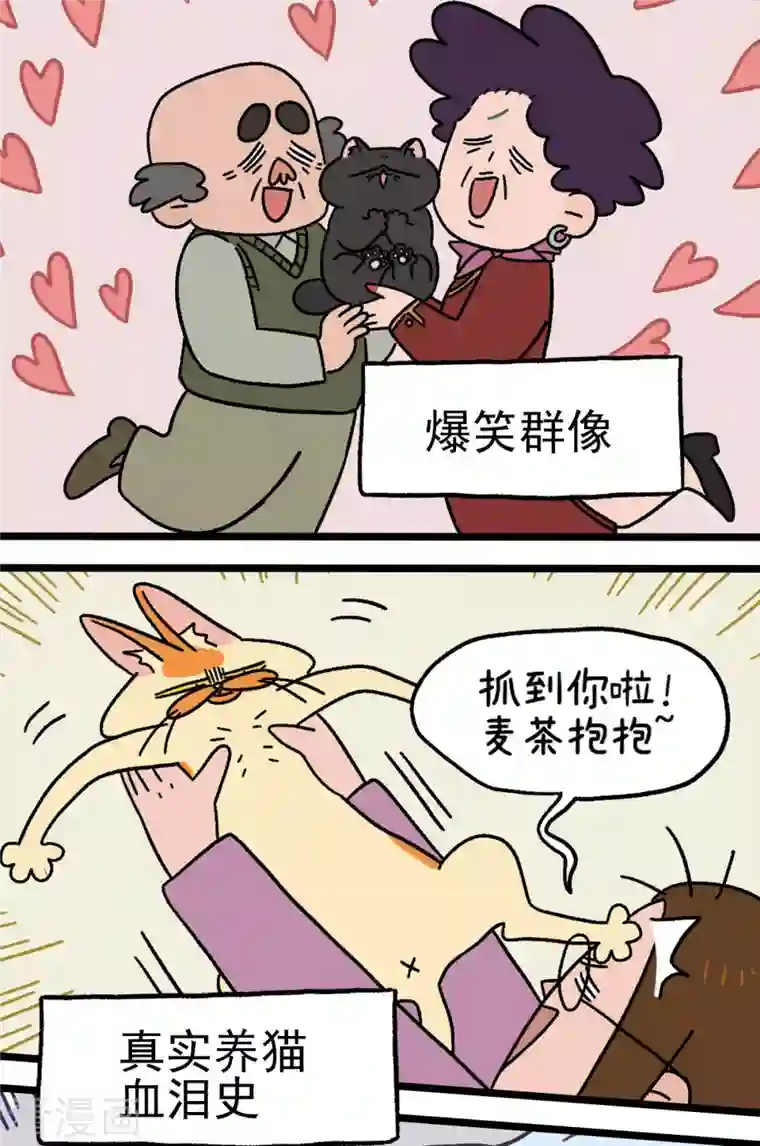 阿满和麦茶预告