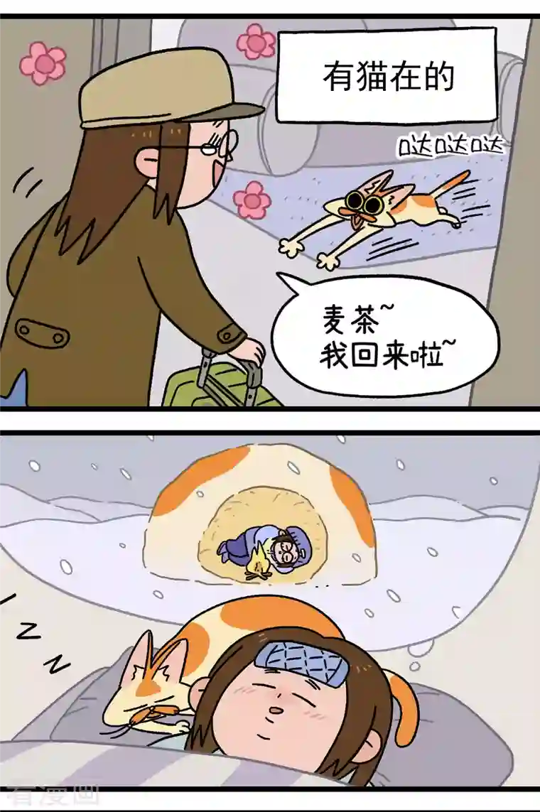 阿满和麦茶预告