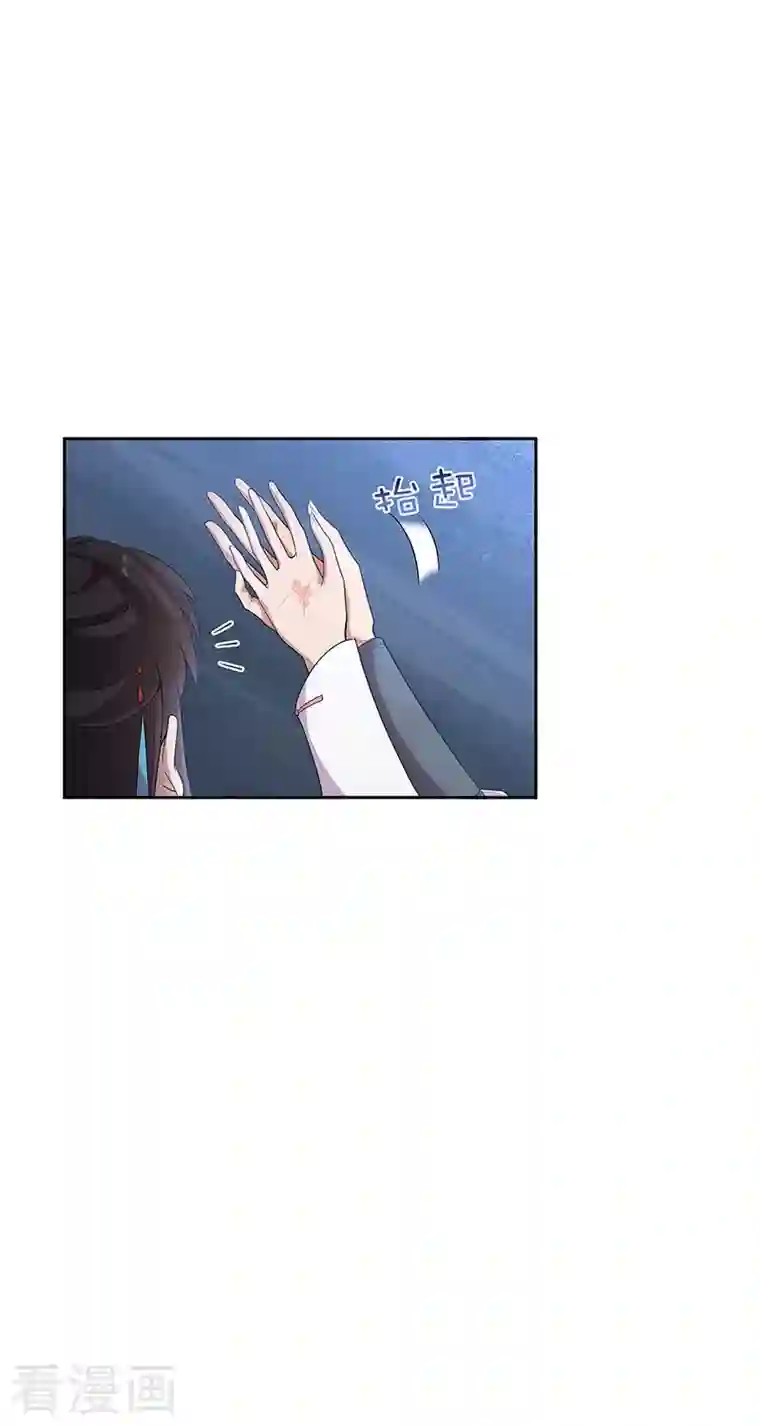 狂女重生：纨绔七皇妃第323话 原谅你了