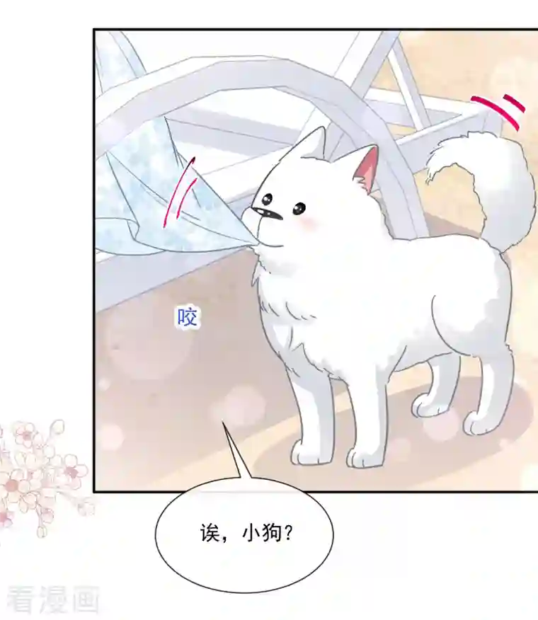 霸道总裁轻轻爱第160话 心动的清晨