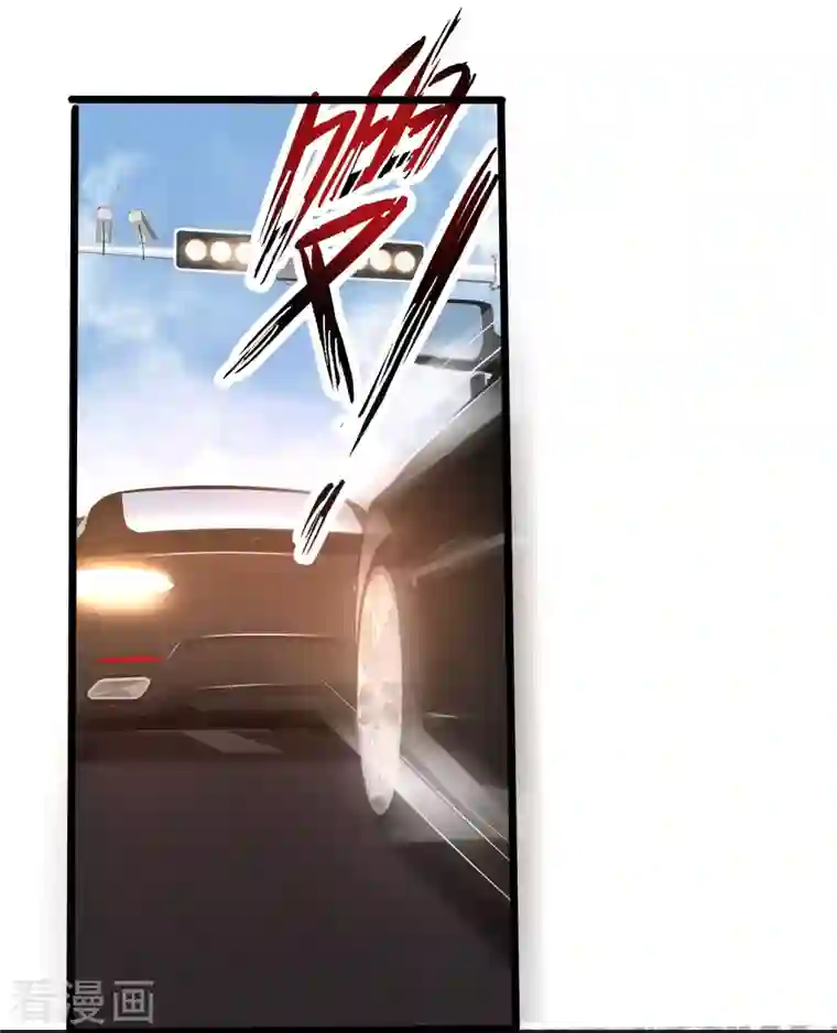 最强桃花运第221话 动物智商还不错？？？