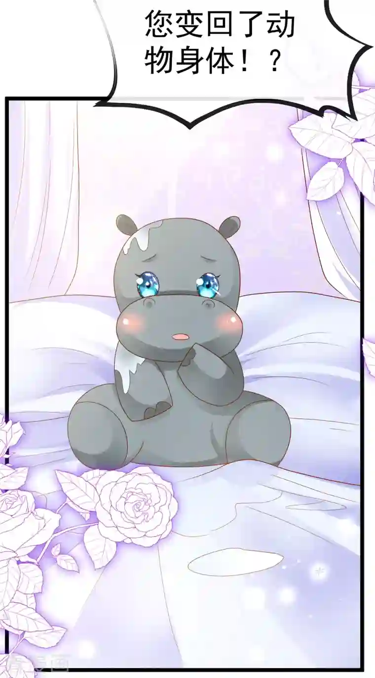 王的第一宠后第127话 王的美梦碎了……