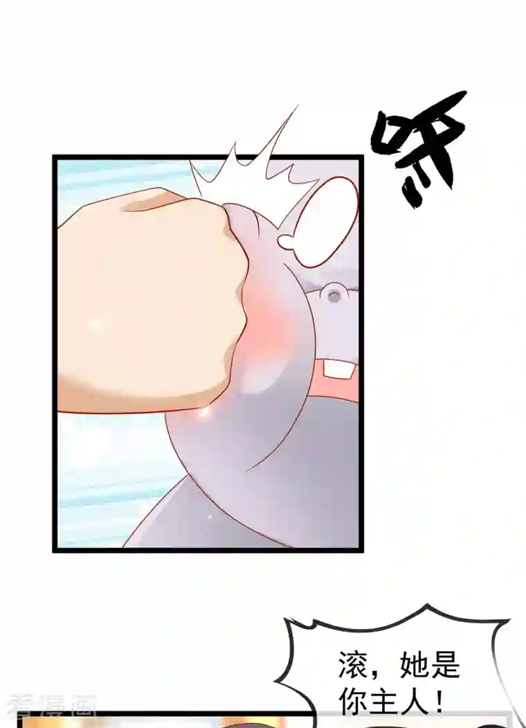 王的第一宠后第127话 王的美梦碎了……