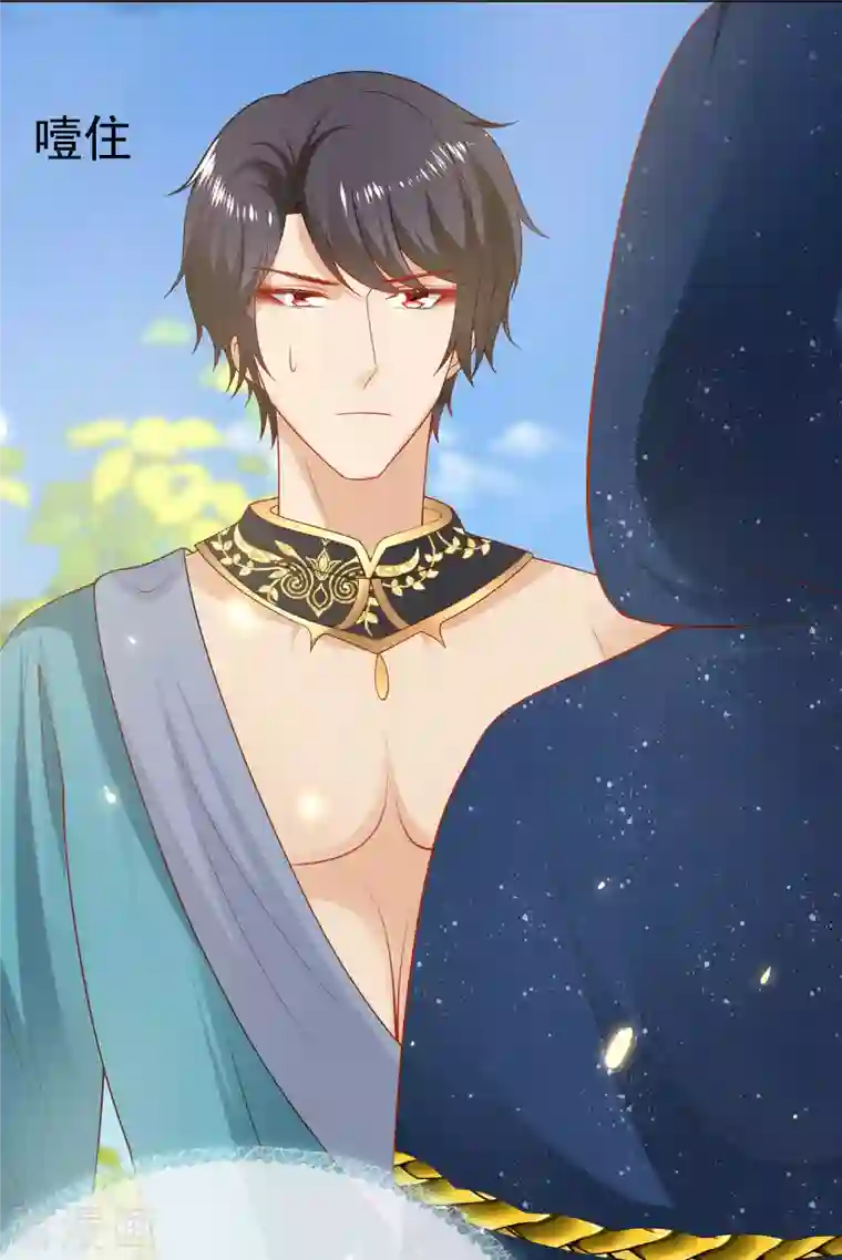 王的第一宠后第127话 王的美梦碎了……