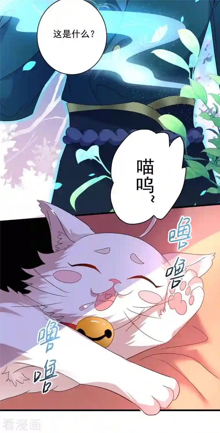 我在异界养男神：神医九小姐第108话 守株待兔