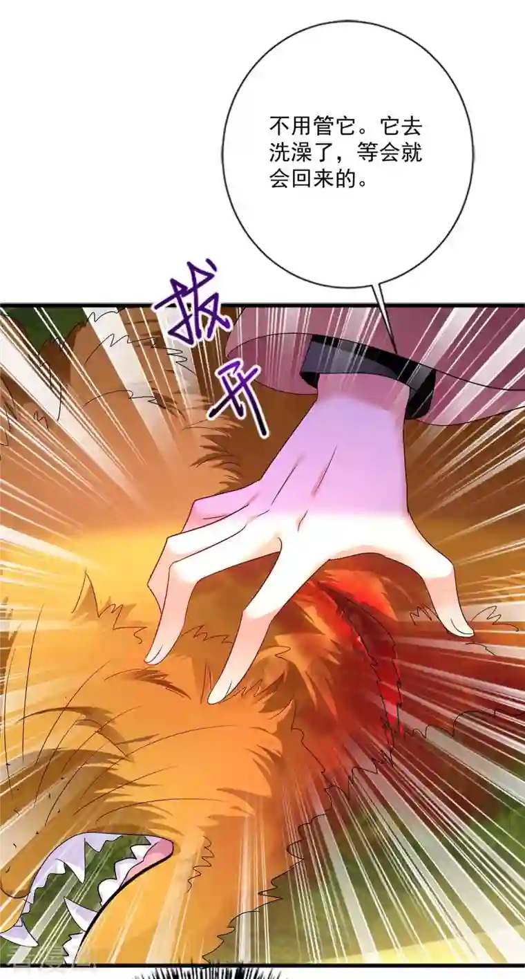 我在异界养男神：神医九小姐第108话 守株待兔