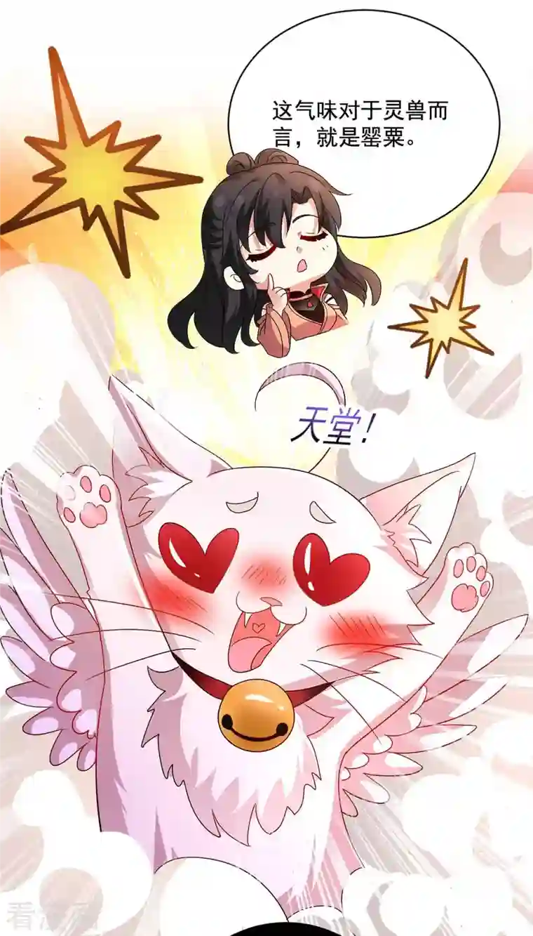 我在异界养男神：神医九小姐第109话 二级灵兽