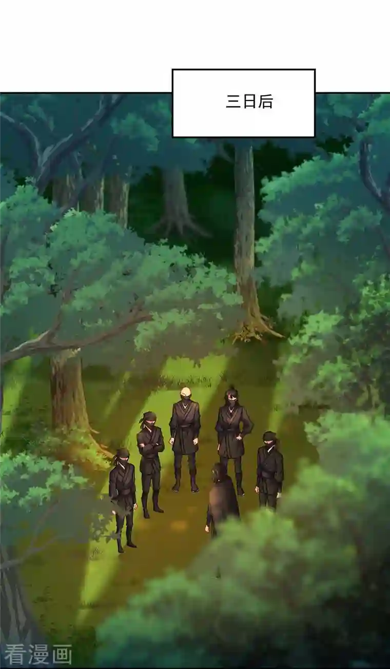 我在异界养男神：神医九小姐第110话 暗杀