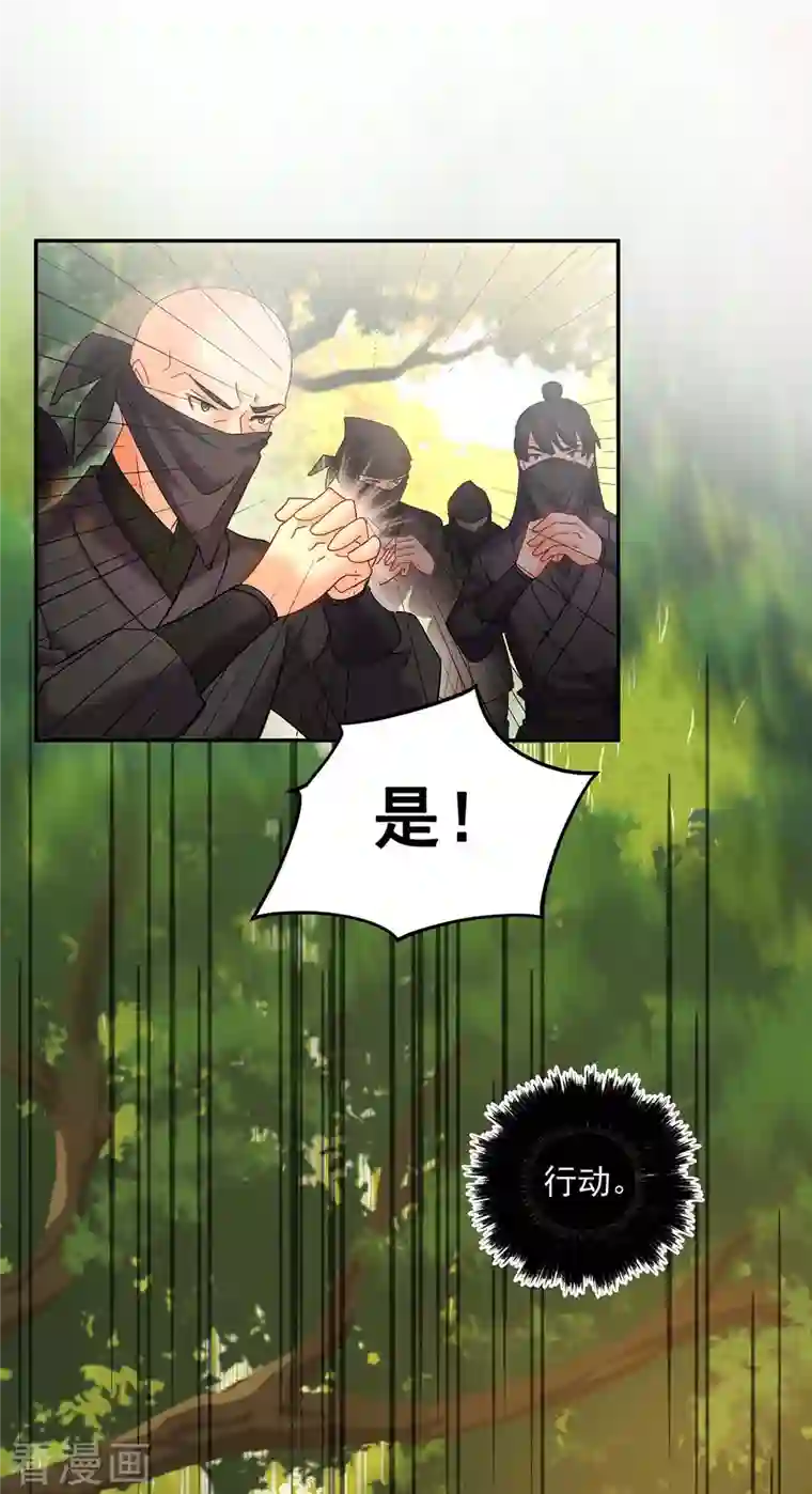 我在异界养男神：神医九小姐第110话 暗杀