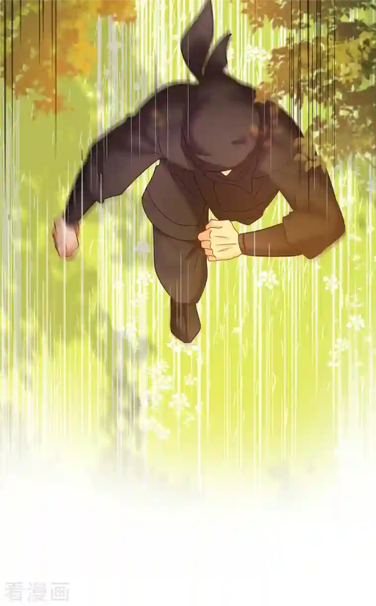 我在异界养男神：神医九小姐第110话 暗杀