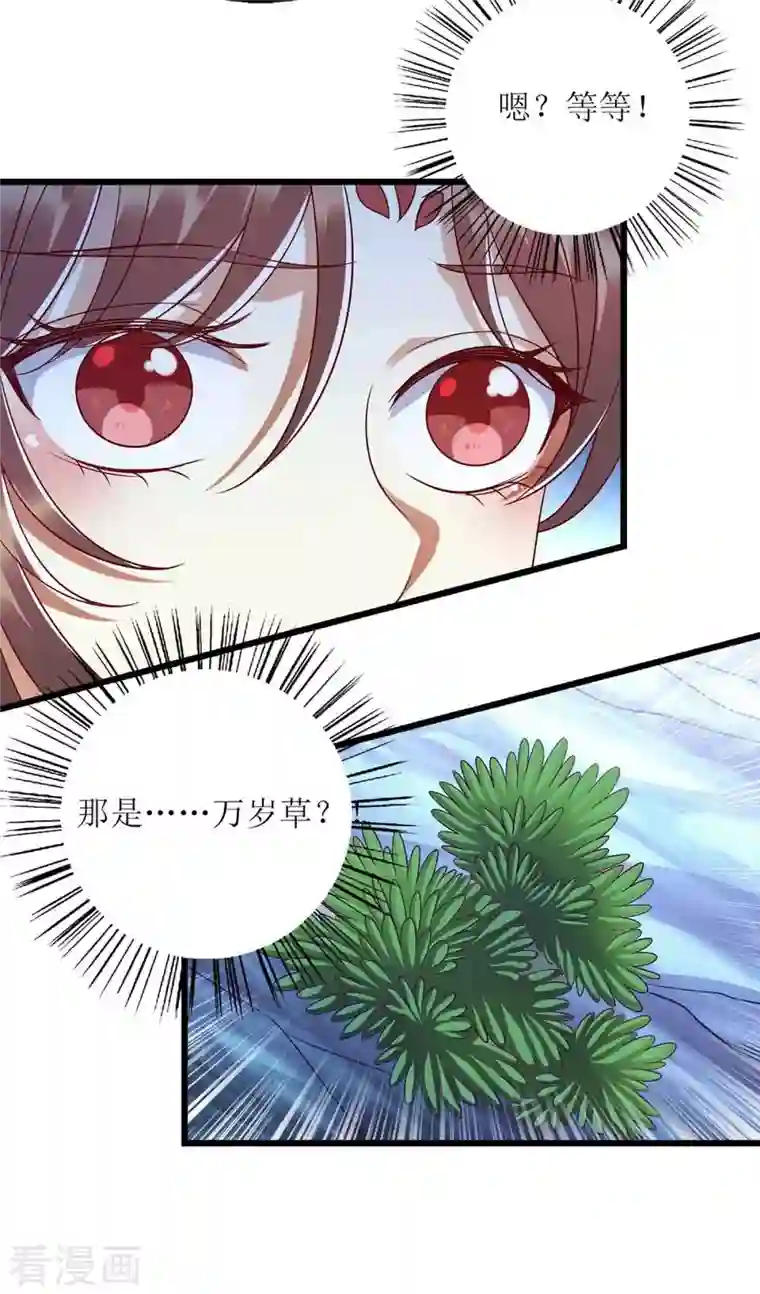 一品嫡女第198话 拼尽全力