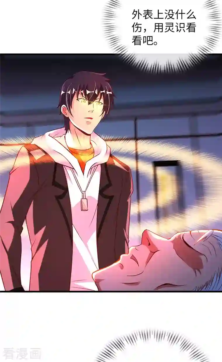 我的师傅是神仙第65话 燕京王家