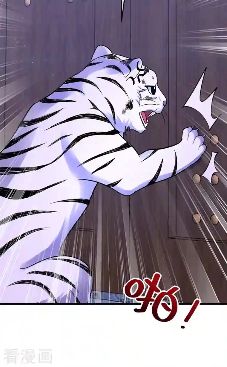 萌虎重生：将军大人要抱抱第38话 谁来救将军？