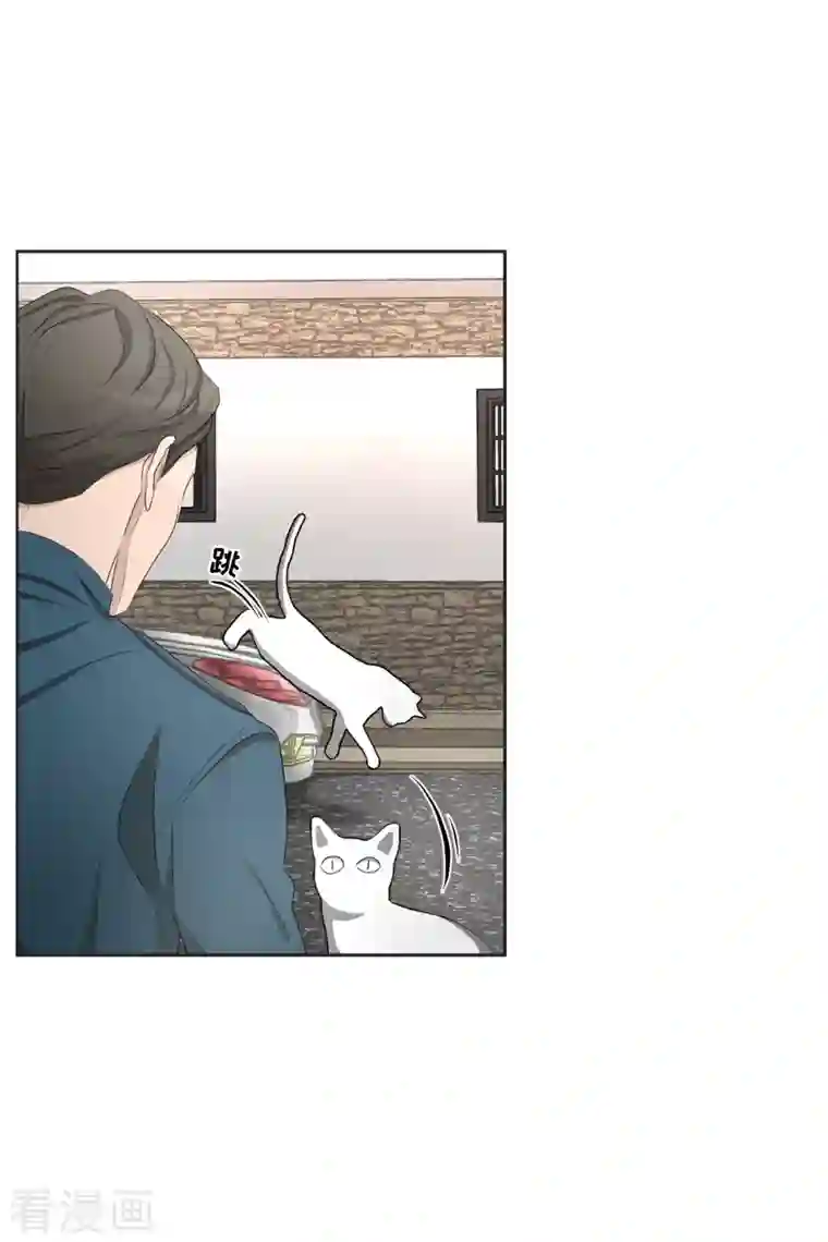 影子侦探第41话 朴警官送汤姆回家