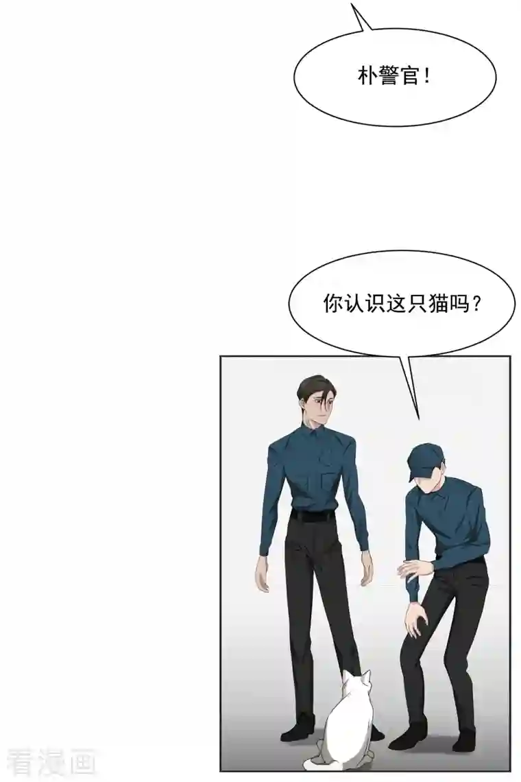 影子侦探第41话 朴警官送汤姆回家