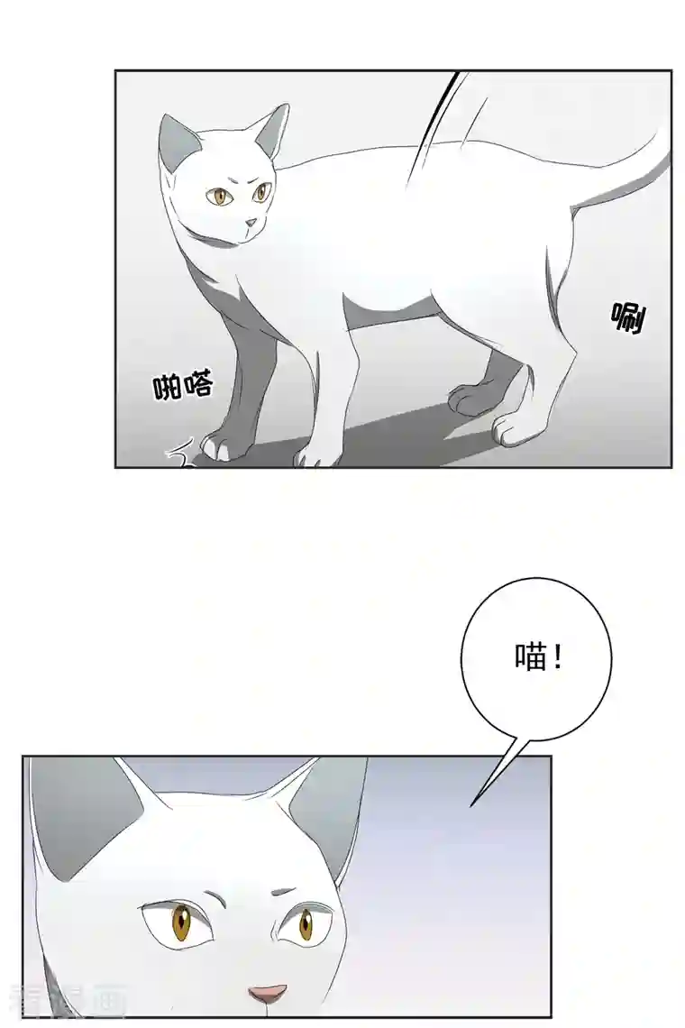 影子侦探第41话 朴警官送汤姆回家