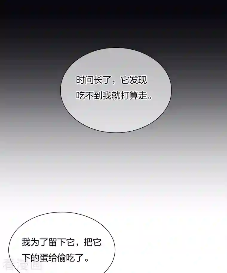 长相思第22话 回忆