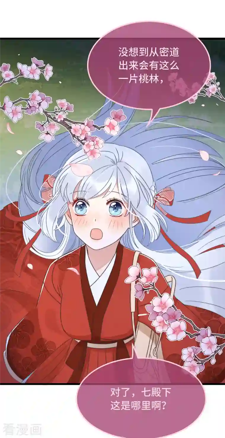 痴汉王爷的宠妻攻略第15话 墓前表心意？