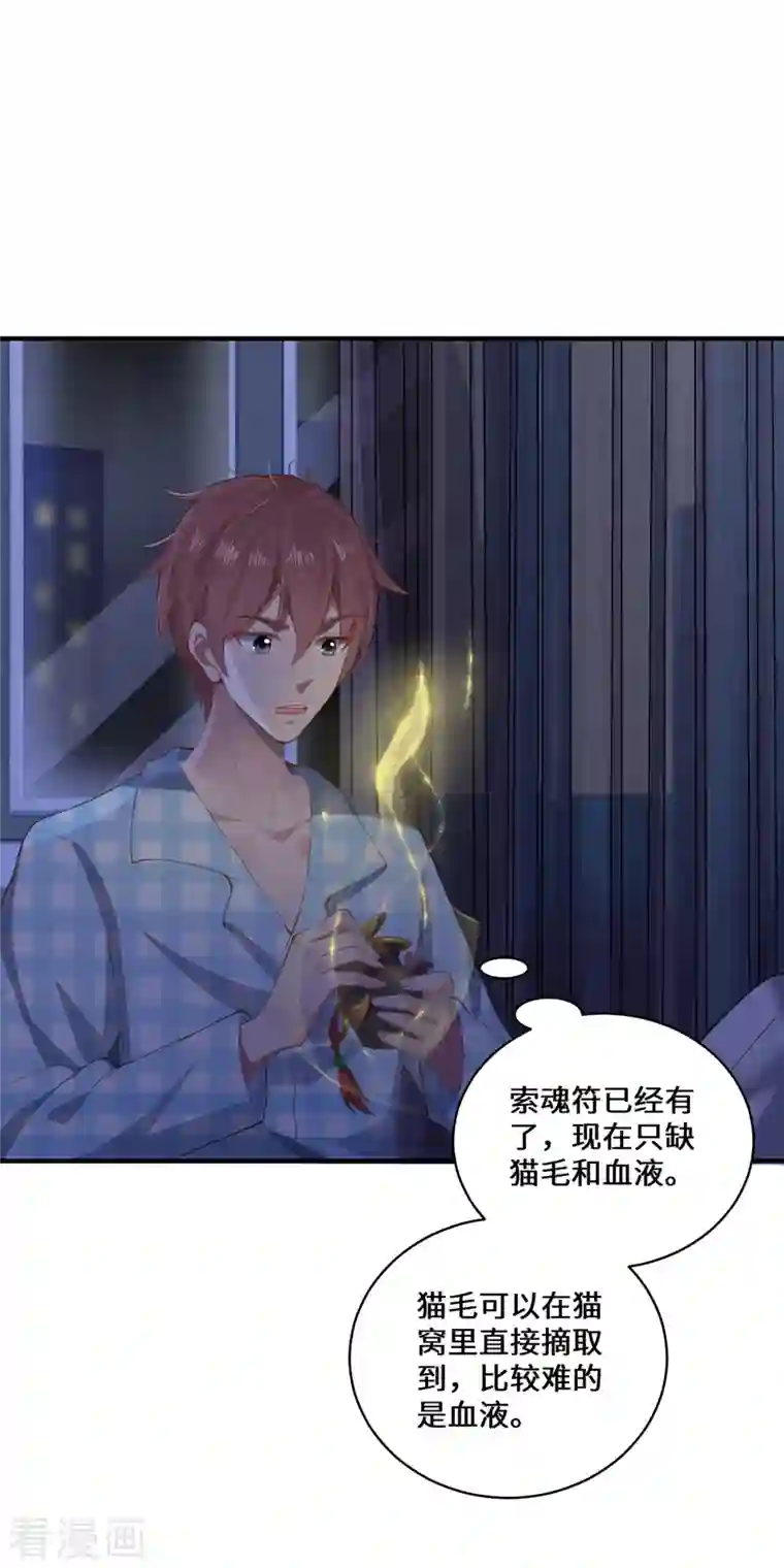 吾本是猫第6话 一触即发