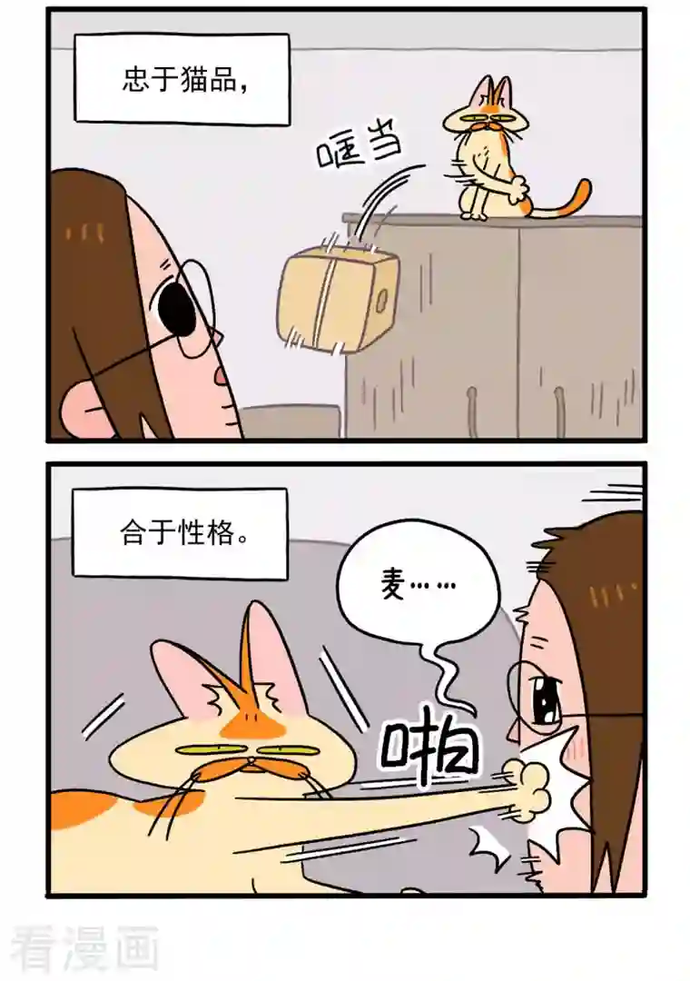 阿满和麦茶第2话 独一无二的麦茶