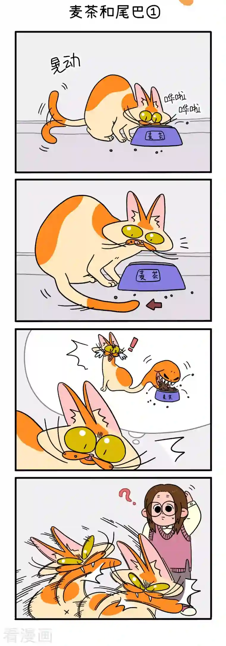 阿满和麦茶第9话 麦茶和尾巴