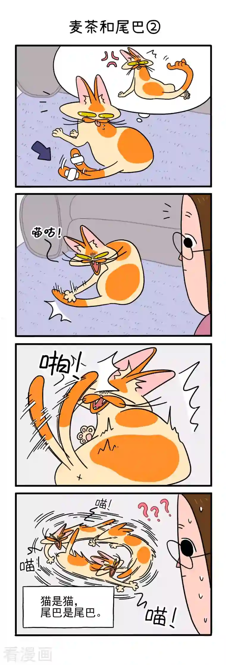 阿满和麦茶第9话 麦茶和尾巴
