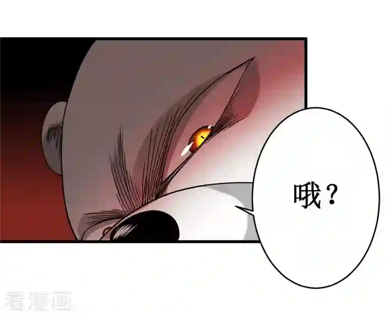 我的弟子都超神第85话 隐藏职业替身使者