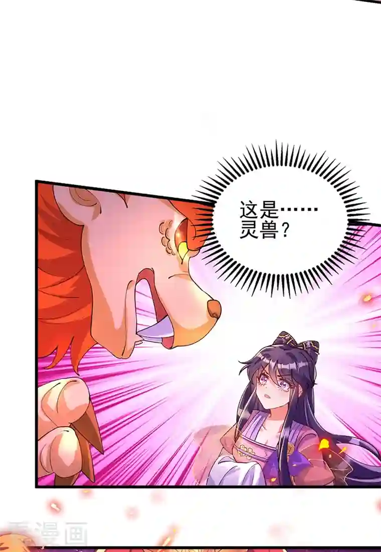 军火女凰第13话 休夫书