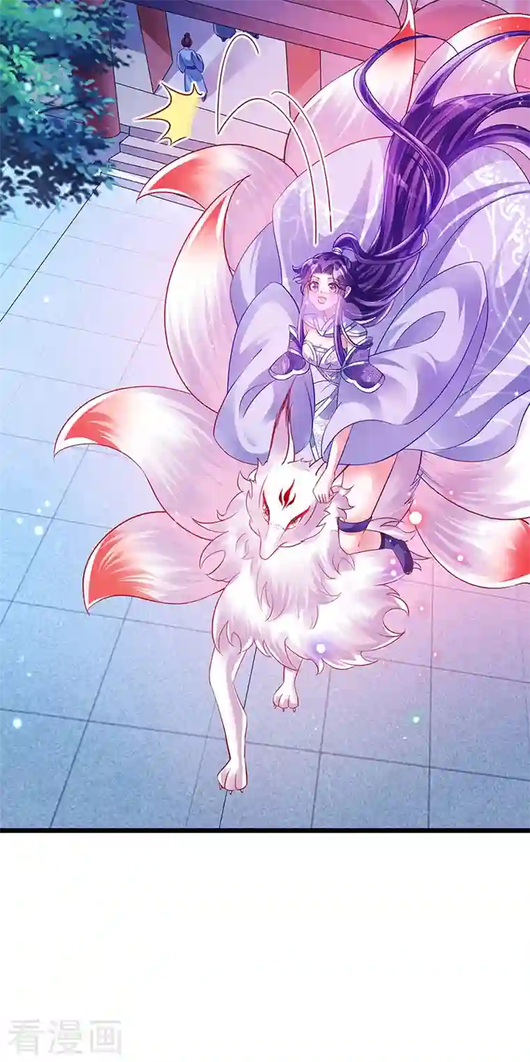 军火女凰第41话 替天行道，小九真棒