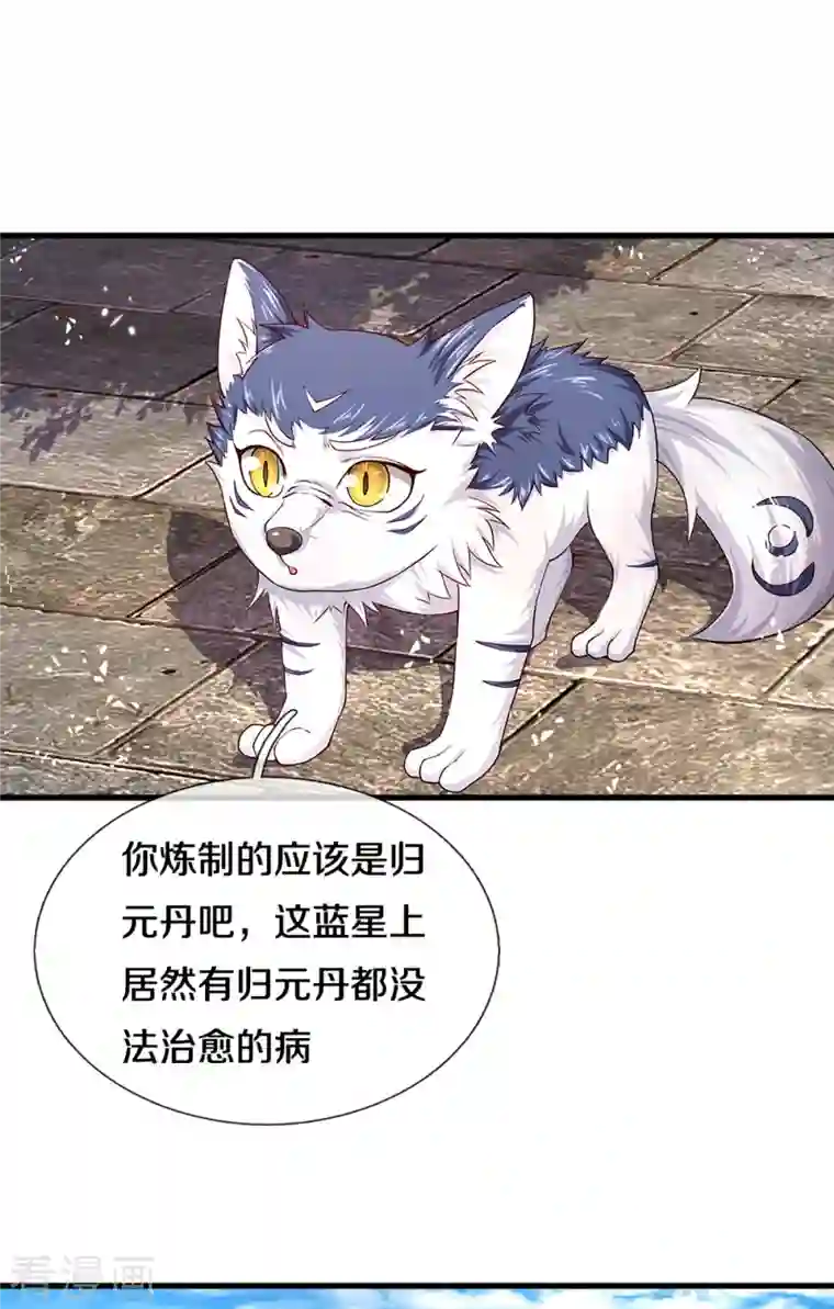 仙尊奶爸当赘婿第220话 病未治好，天狼消息