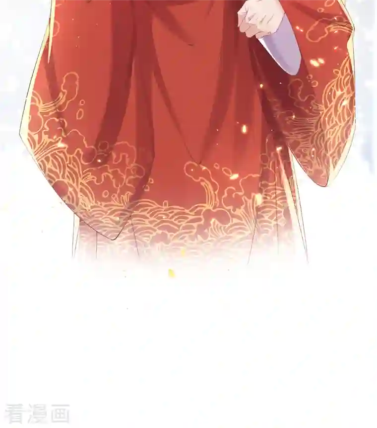 嗜血医妃第129话 战事将起