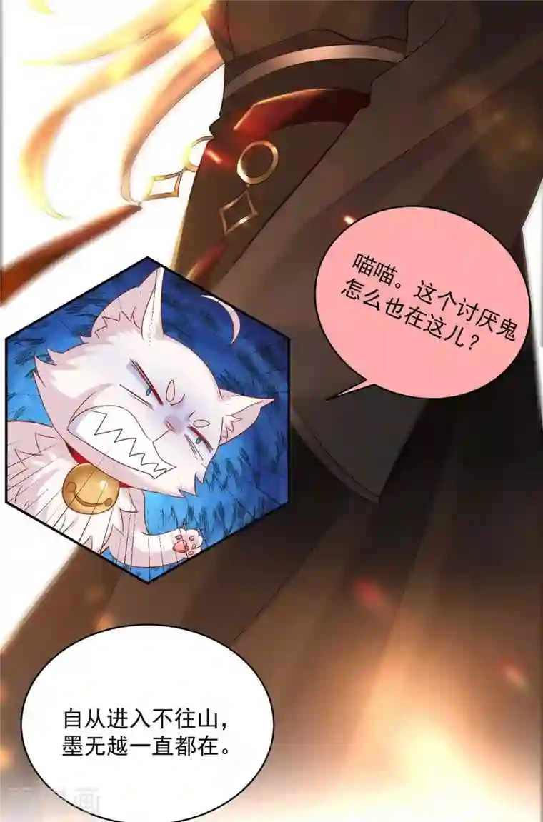 我在异界养男神：神医九小姐第111话 墨无越来历