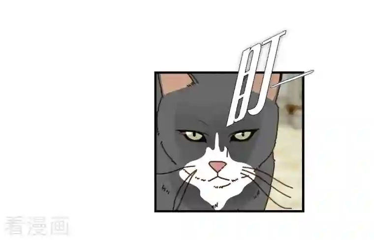 生存婚姻第30话 解除印记的办法