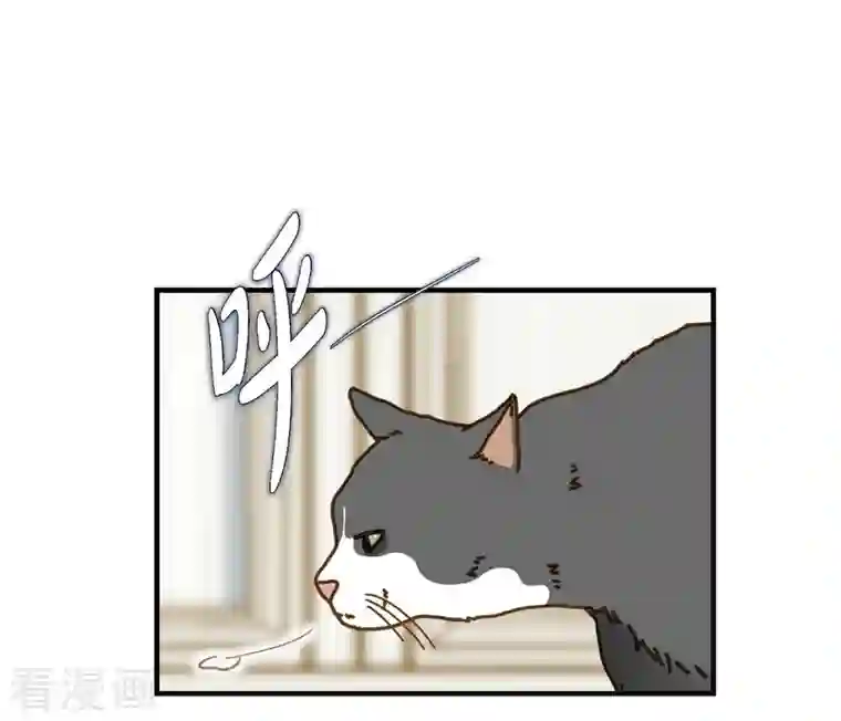 生存婚姻第30话 解除印记的办法