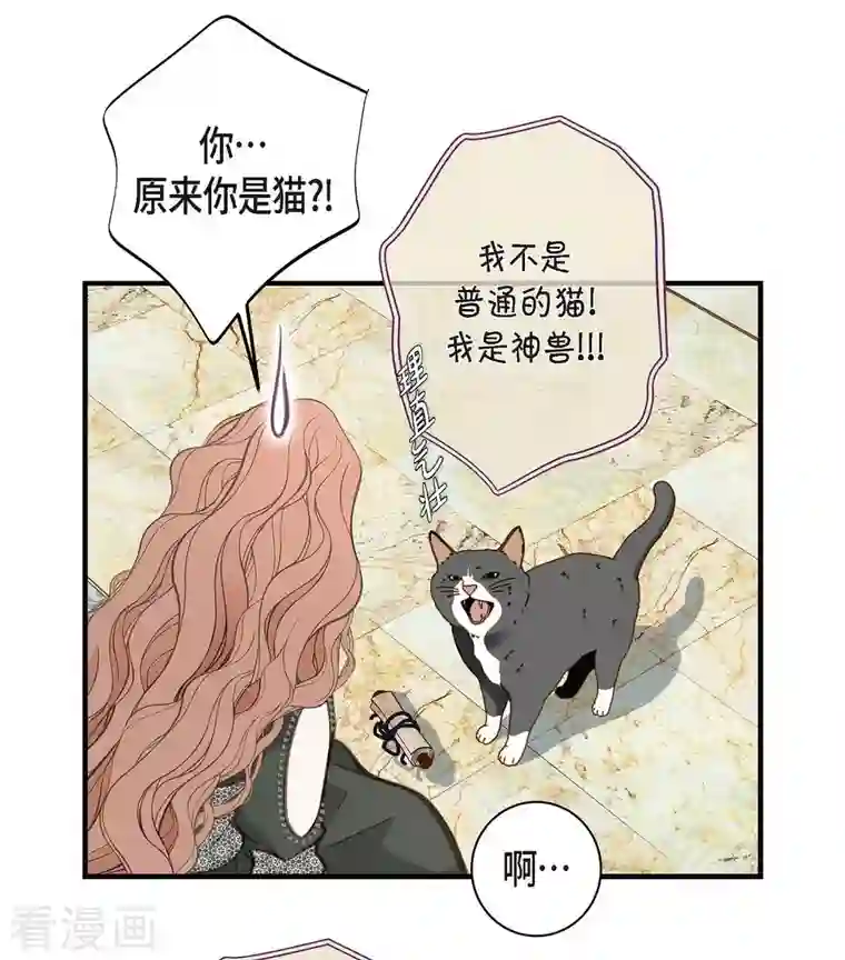 生存婚姻第30话 解除印记的办法